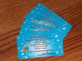 businesscardswimmer-jpg