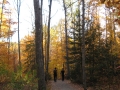 peoplewalkinginwoods-jpg